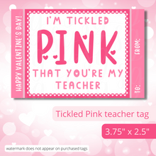 Load image into Gallery viewer, Class Valentine Kit (S'Mores & Tickled Pink)--INCLUDES TEACHER VALENTINE!