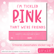 Load image into Gallery viewer, Class Valentine Kit (S'Mores & Tickled Pink)--INCLUDES TEACHER VALENTINE!