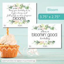 Load image into Gallery viewer, Birthday Gift Basket Kits - 3 PACK (Mix and match styles and sizes)