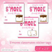 Load image into Gallery viewer, Class Valentine Kit (S'Mores & Tickled Pink)--INCLUDES TEACHER VALENTINE!