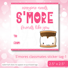 Load image into Gallery viewer, Class Valentine Kit (S'Mores & Tickled Pink)--INCLUDES TEACHER VALENTINE!