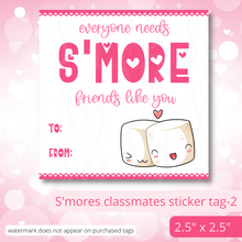 Load image into Gallery viewer, Class Valentine Kit (S'Mores & Tickled Pink)--INCLUDES TEACHER VALENTINE!