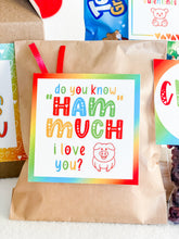 Load image into Gallery viewer, Valentine Lunchbox (Discounts for buying more than 1!)