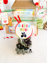 Load image into Gallery viewer, Valentine Lunchbox (Discounts for buying more than 1!)