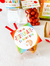 Load image into Gallery viewer, Valentine Lunchbox (Discounts for buying more than 1!)