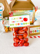 Load image into Gallery viewer, Valentine Lunchbox (Discounts for buying more than 1!)
