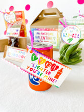 Load image into Gallery viewer, Valentine Lunchbox (Discounts for buying more than 1!)