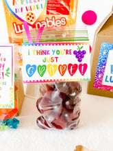 Load image into Gallery viewer, Valentine Lunchbox (Discounts for buying more than 1!)