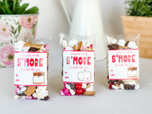 Load image into Gallery viewer, Class Valentine Kit (S'Mores & Tickled Pink)--INCLUDES TEACHER VALENTINE!