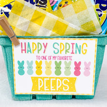Load image into Gallery viewer, Spring Gift Basket Kits