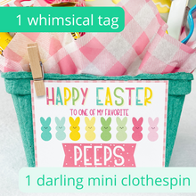 Load image into Gallery viewer, Spring Gift Basket Kits - 4 Pack