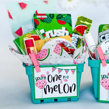 Load image into Gallery viewer, &quot;One in a Melon&quot; Gift Packaging Kit
