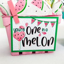 Load image into Gallery viewer, &quot;One in a Melon&quot; Gift Packaging Kit
