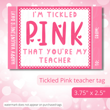 Load image into Gallery viewer, Class Valentine Kit (S&#39;Mores &amp; Tickled Pink)--INCLUDES TEACHER VALENTINE!
