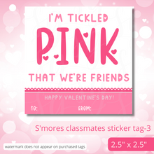 Load image into Gallery viewer, Class Valentine Kit (S&#39;Mores &amp; Tickled Pink)--INCLUDES TEACHER VALENTINE!
