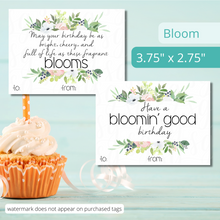 Load image into Gallery viewer, Birthday Gift Basket Kits - 2 PACK (Mix and match styles and sizes)
