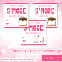 Load image into Gallery viewer, Class Valentine Kit (S&#39;Mores &amp; Tickled Pink)--INCLUDES TEACHER VALENTINE!
