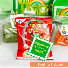 Load image into Gallery viewer, St. Patrick's Lunchbox &amp; Teacher Treat Box Kit

