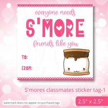 Load image into Gallery viewer, Class Valentine Kit (S&#39;Mores &amp; Tickled Pink)--INCLUDES TEACHER VALENTINE!
