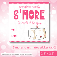 Load image into Gallery viewer, Class Valentine Kit (S&#39;Mores &amp; Tickled Pink)--INCLUDES TEACHER VALENTINE!
