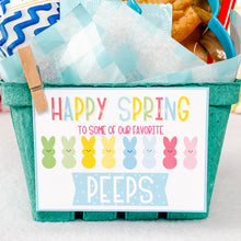 Load image into Gallery viewer, Spring Gift Basket Kits
