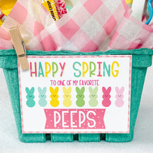 Load image into Gallery viewer, Spring Gift Basket Kits
